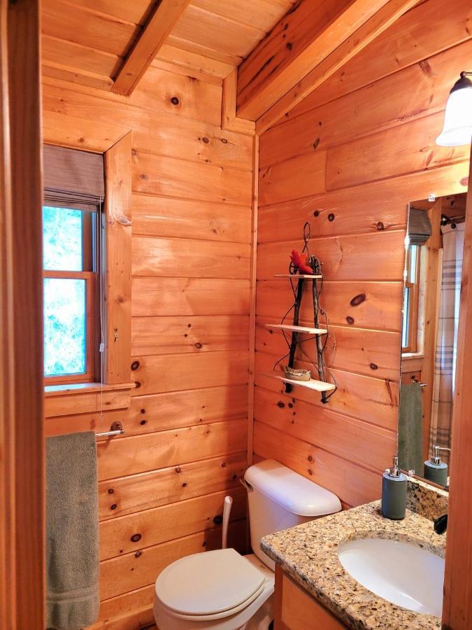 Luxury Cabin With Waterview And Privacy, Hiking Blue Ridge Exterior foto