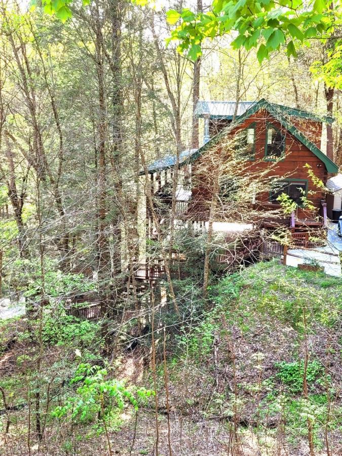 Luxury Cabin With Waterview And Privacy, Hiking Blue Ridge Exterior foto